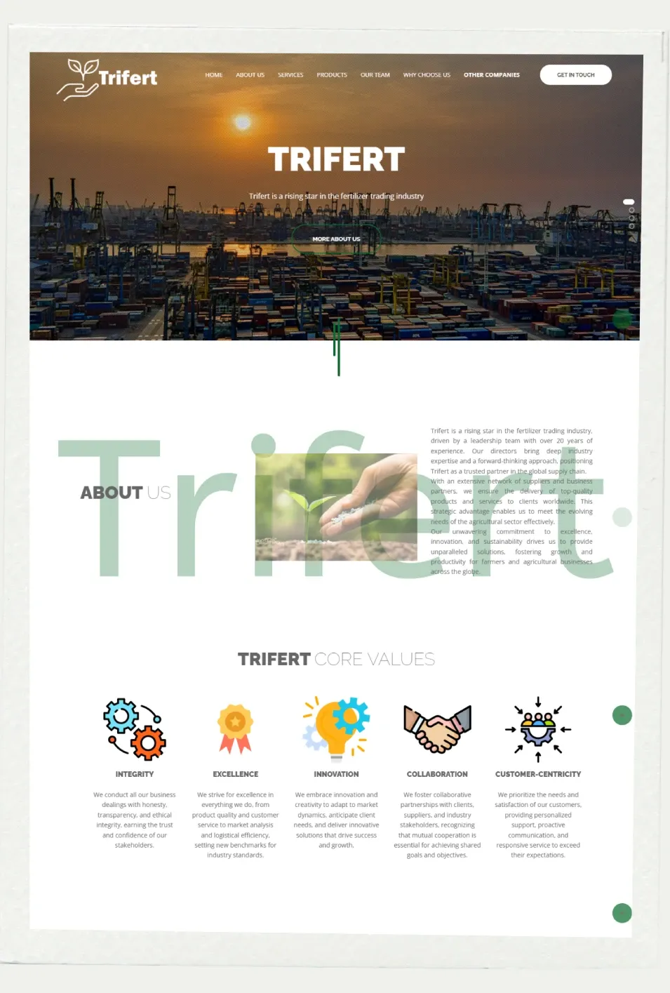 Trifert website screenshot 2