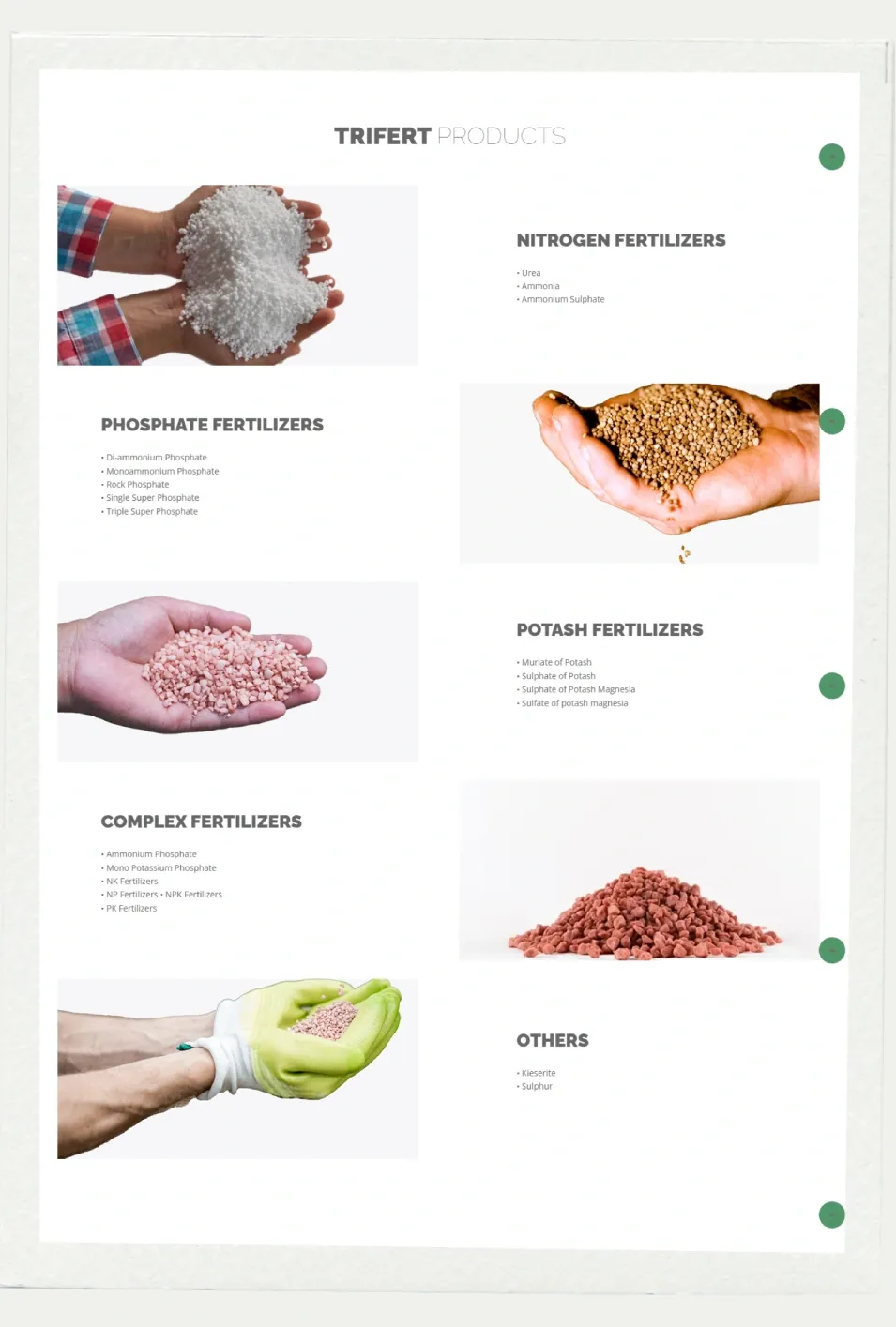 Trifert website screenshot 3
