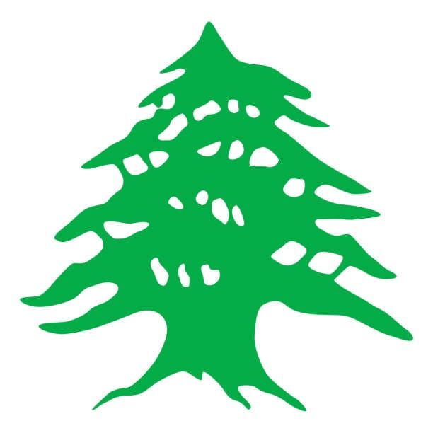Lebanese Embassy in Oman website screenshot 5