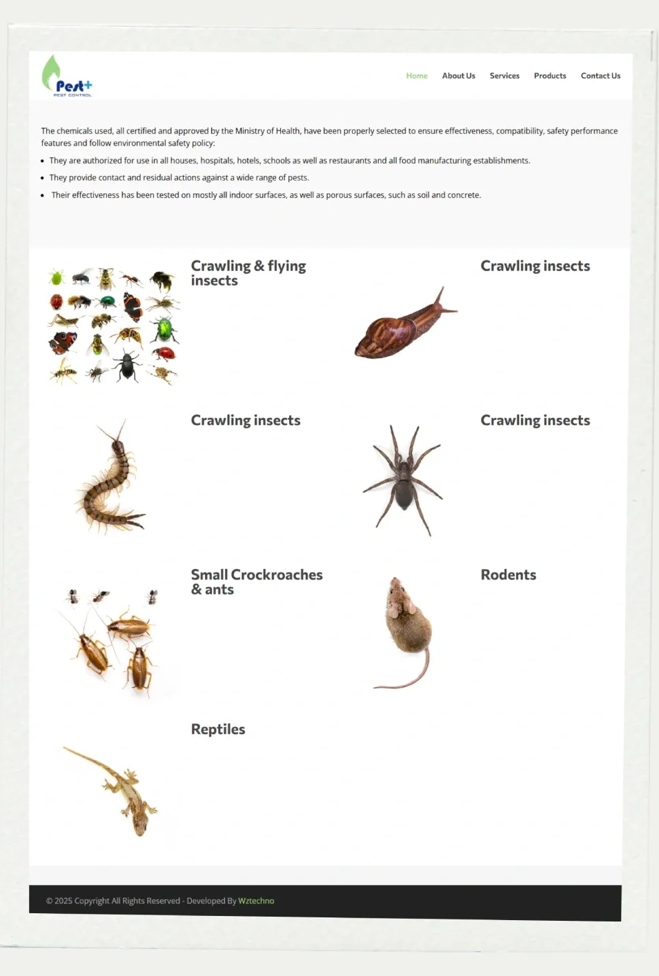 Pest Plus website screenshot 4