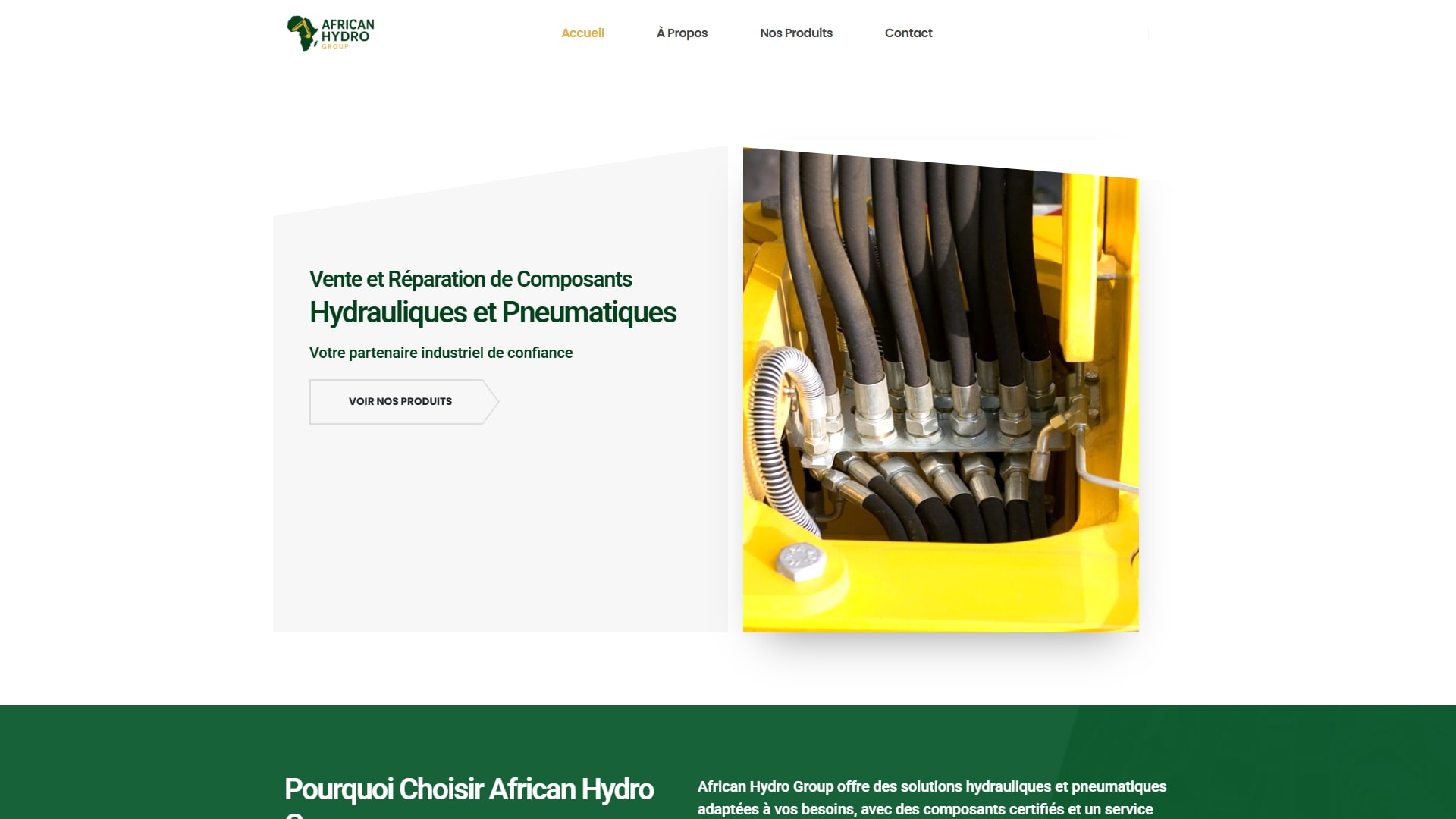 African Hydro Group website screenshot 1