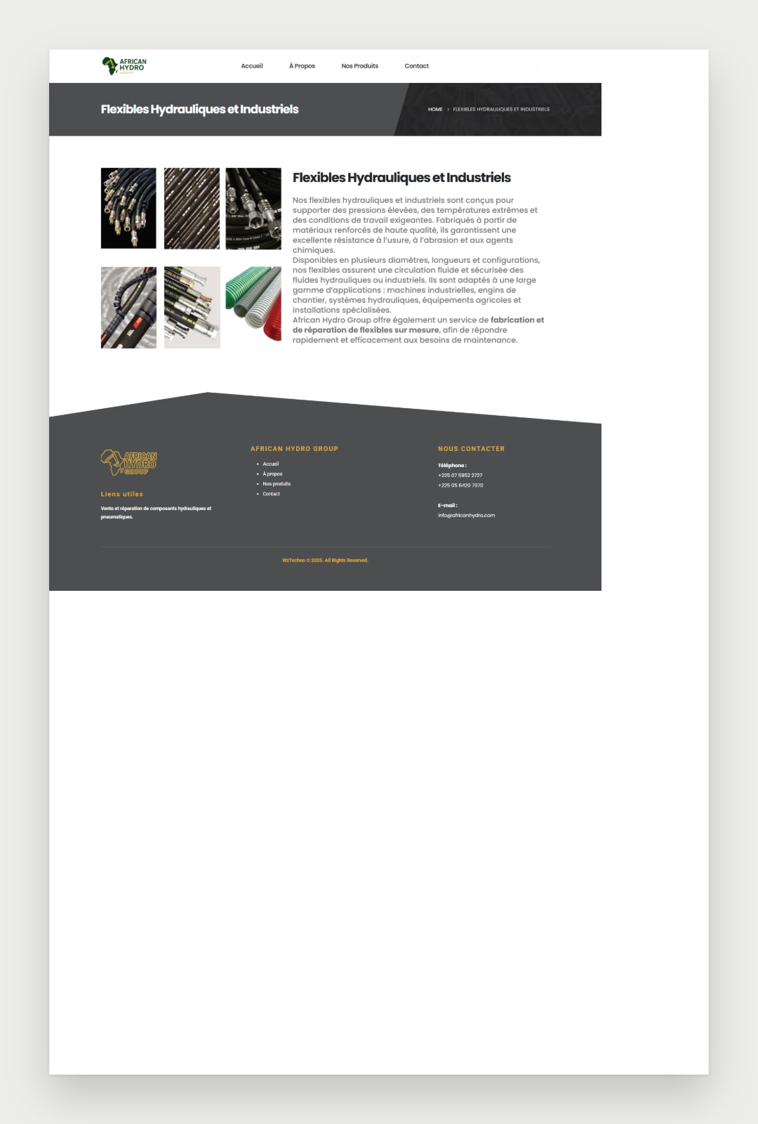 African Hydro Group website screenshot 5