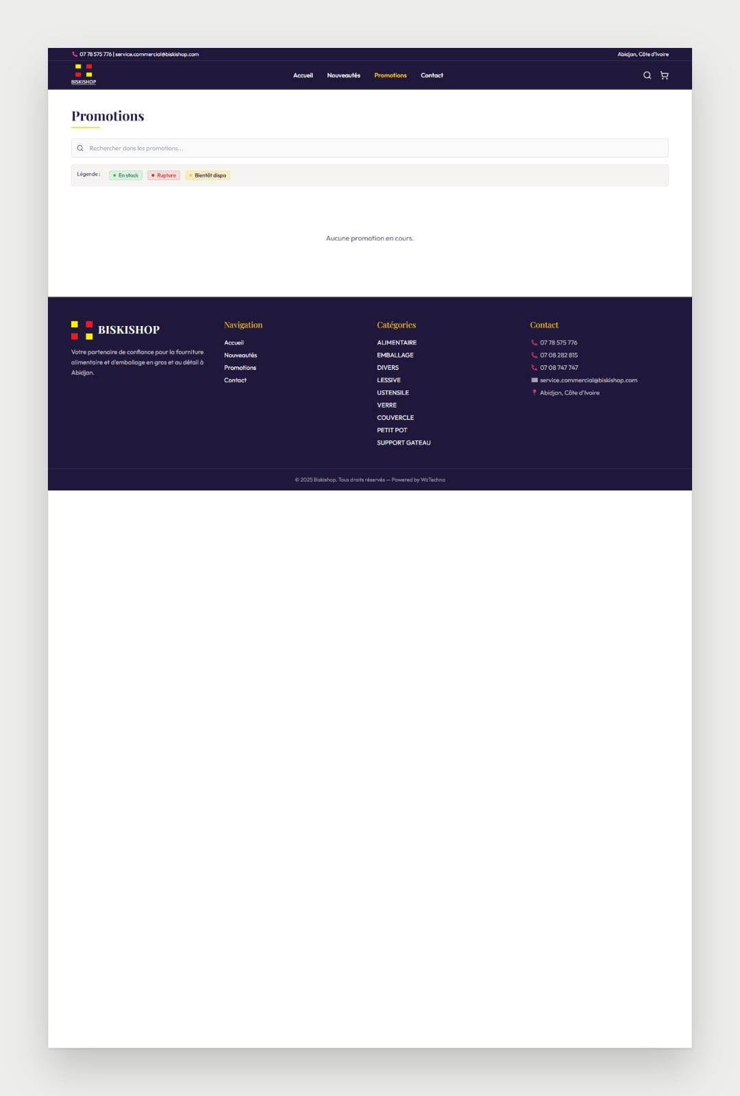 Biskishop website screenshot 4