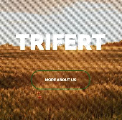 Trifert website screenshot 5