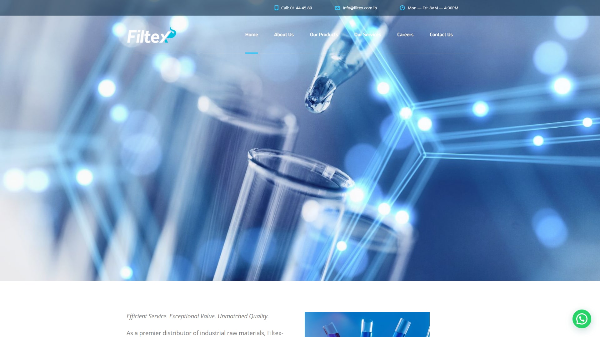 Filtex website screenshot 1