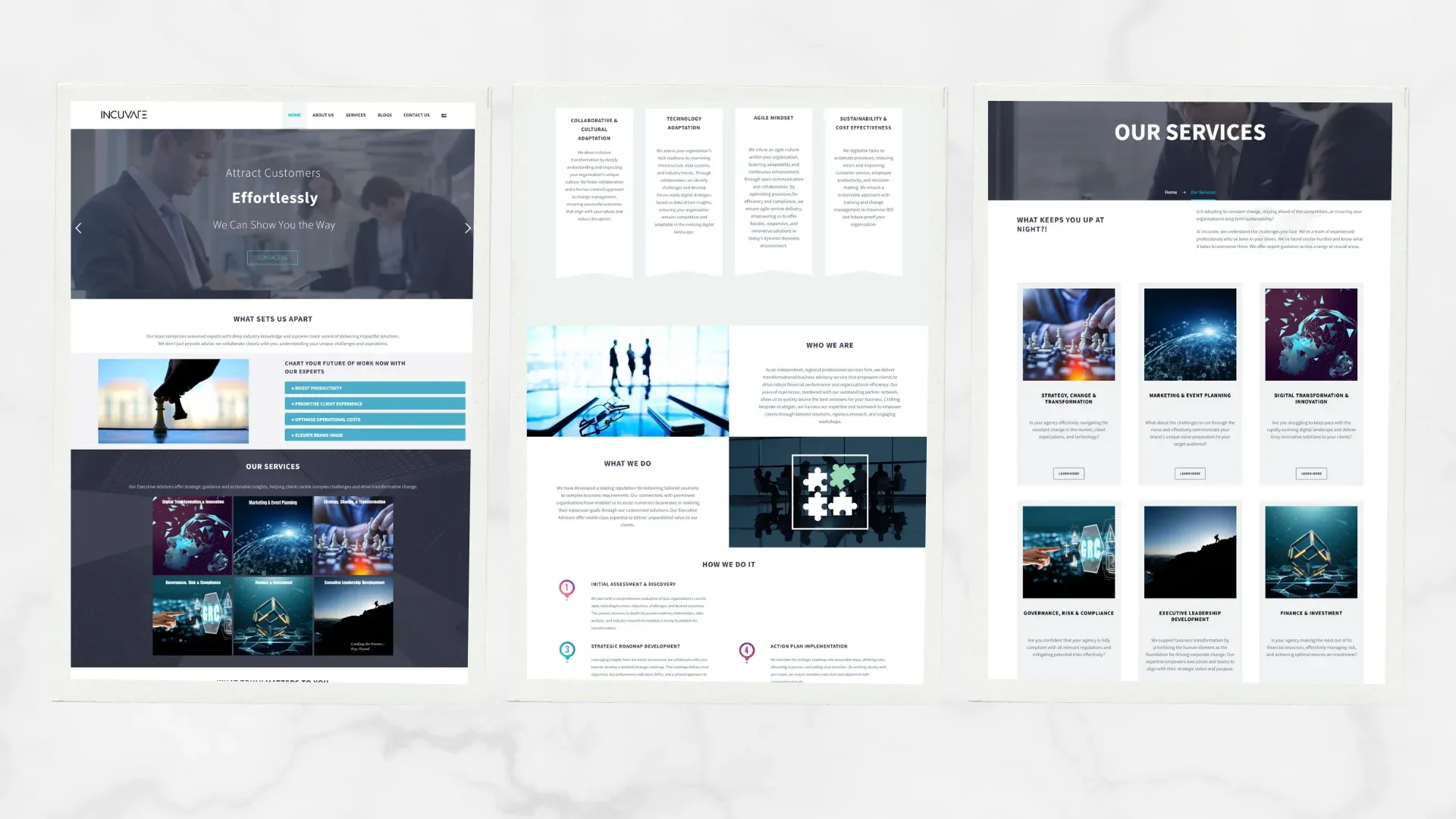 Incuvate Pro website screenshot 1
