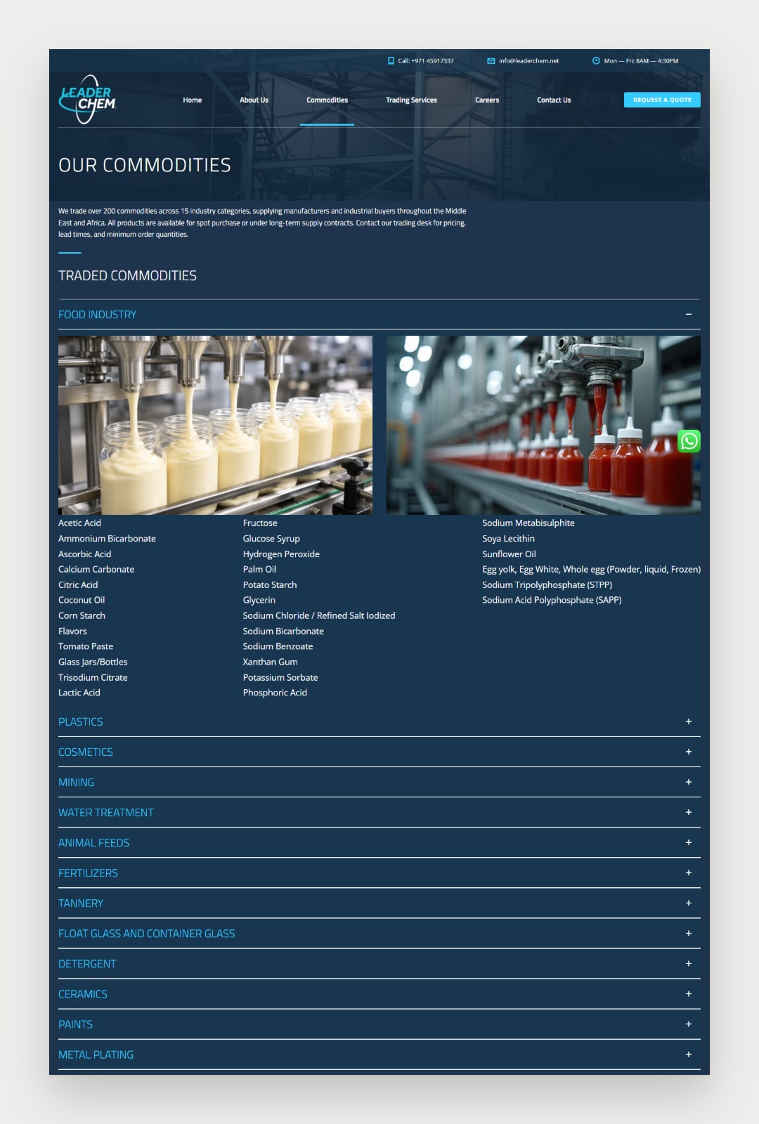 LeaderChem website screenshot 4