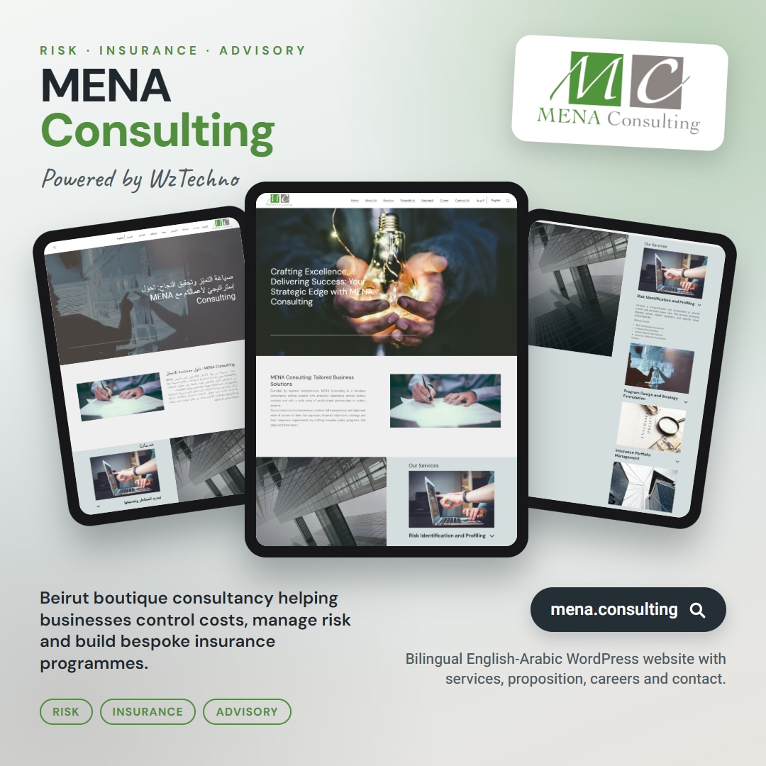 MENA Consulting website