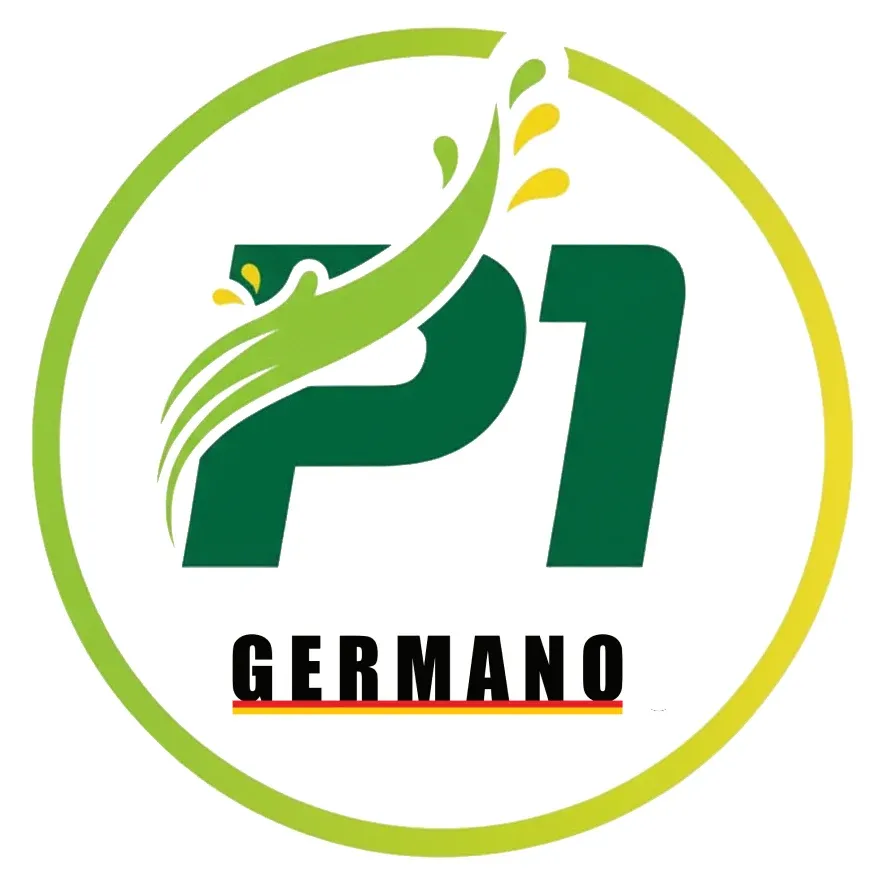 P1 Germano website screenshot 5
