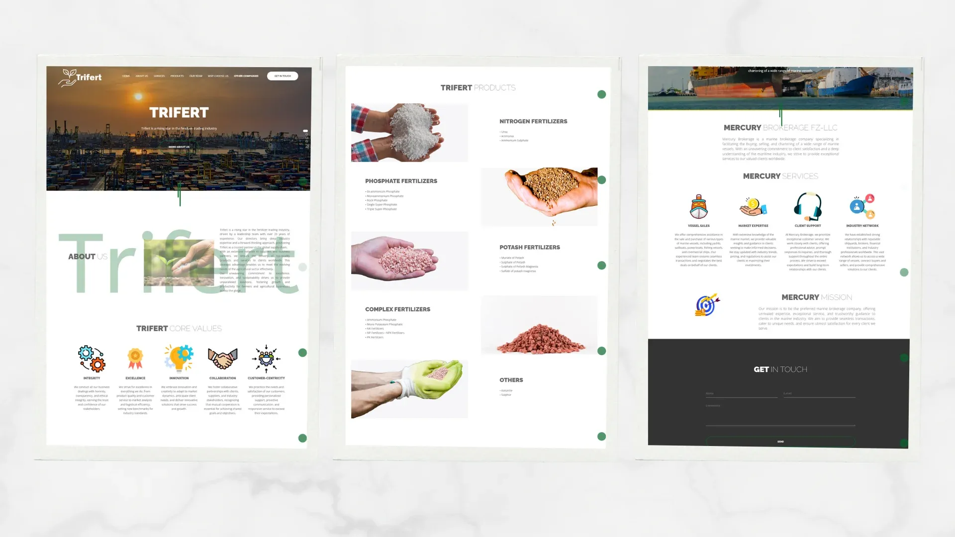 Trifert website screenshot 1