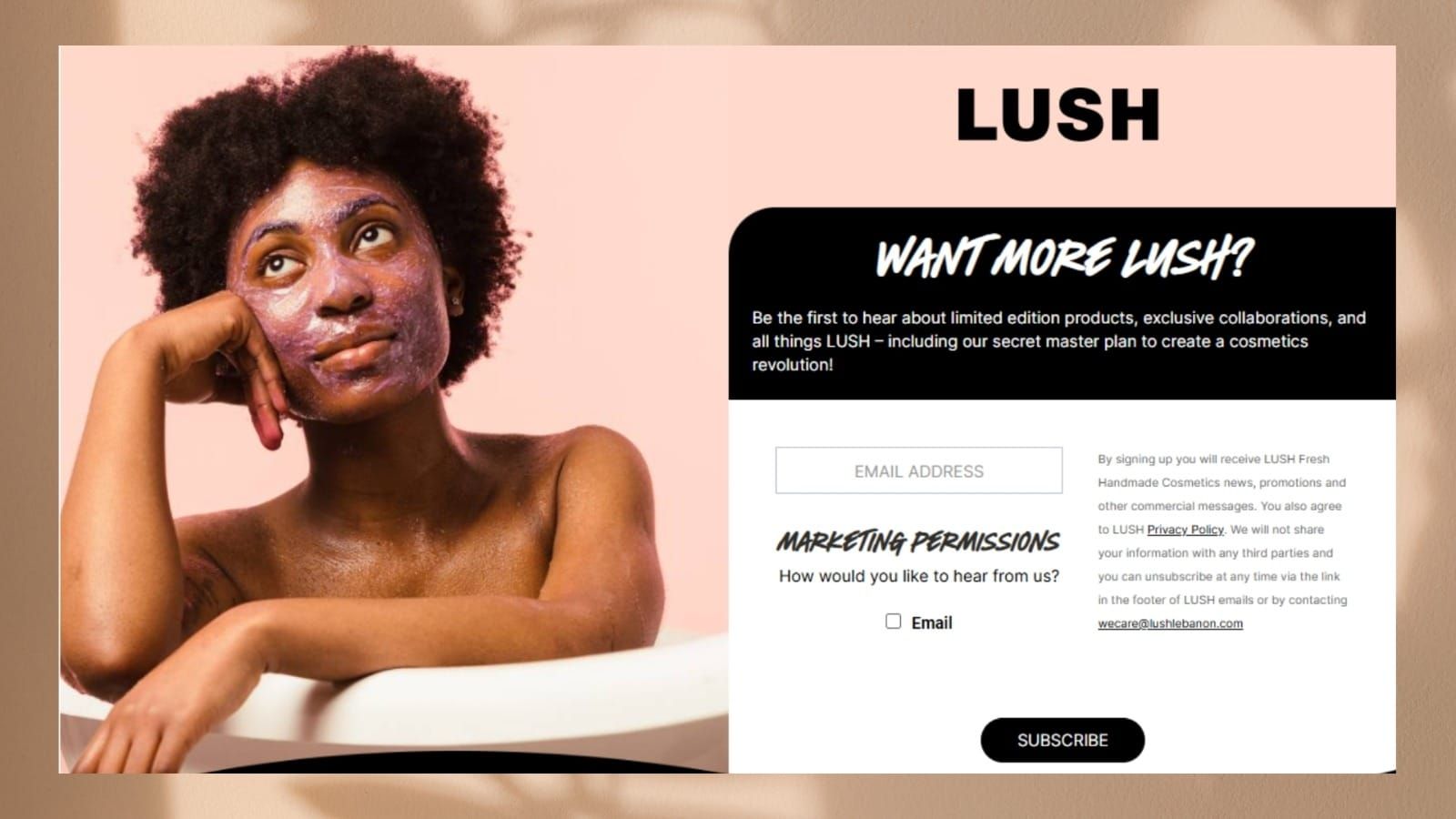 Lush Lebanon website screenshot 5